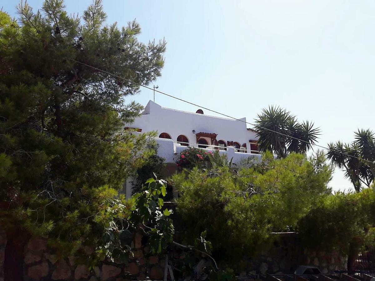 Apartment Apollonion Aigina *